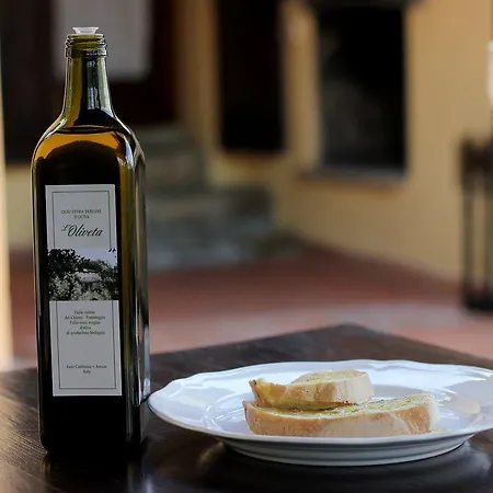 Tuscany Chianti Hills - Oliveta Loro Ciuffenna